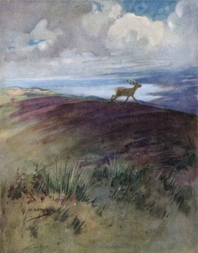 Illustration pour The Story of a Red Deer - George Denholm Armour