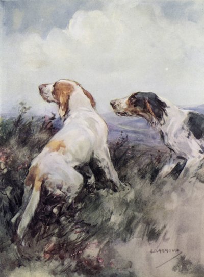 Setters - George Denholm Armour