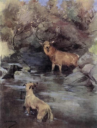 Cerf au piège - George Denholm Armour