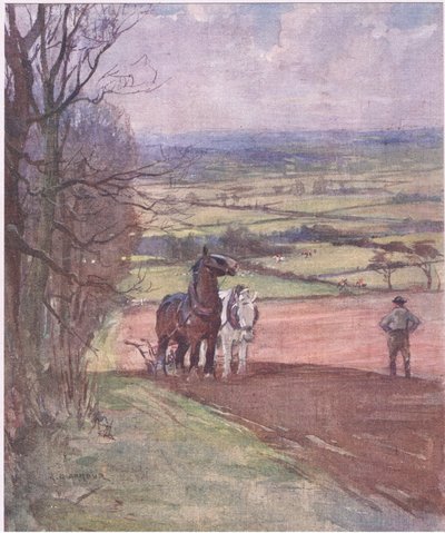 Le laboureur à l