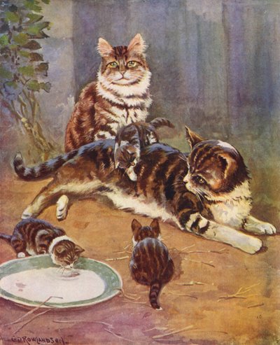 Nell était une belle tabby - George Derville (after) Rowlandson