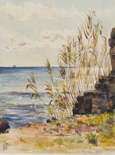 À San Remo regardant la Méditerranée, 10 janvier 1878 - George Douglas Tinling
