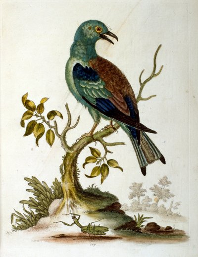 Illustration à l