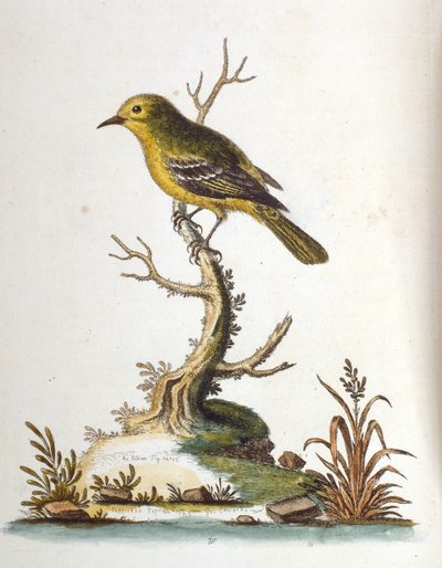 Illustration à l