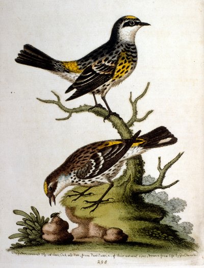 Illustration à l