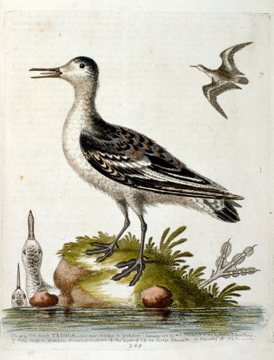 Illustration à l