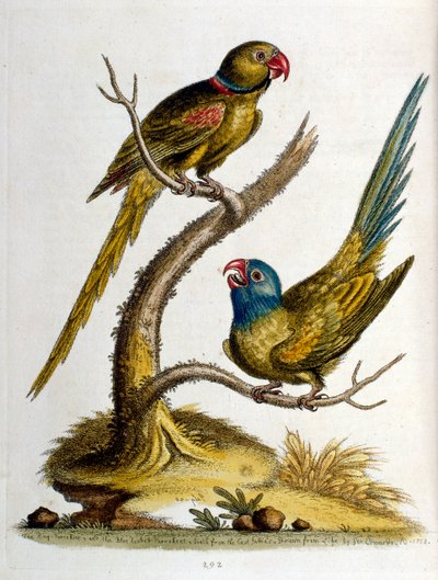 Illustration à l