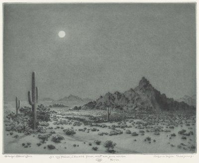 Nuit en Arizona - George Elbert Burr
