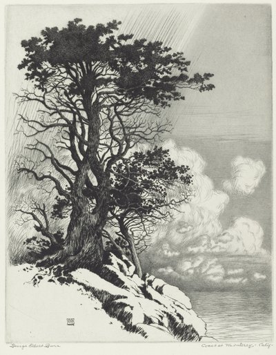 Côte à Monterey, Californie - George Elbert Burr