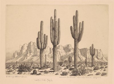 Sentinelles du désert, Apache Trail, Arizona - George Elbert Burr