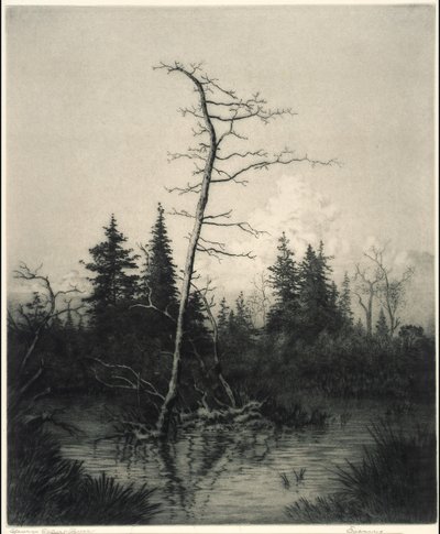 Soirée - George Elbert Burr