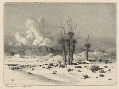 Soir, Arizona - George Elbert Burr