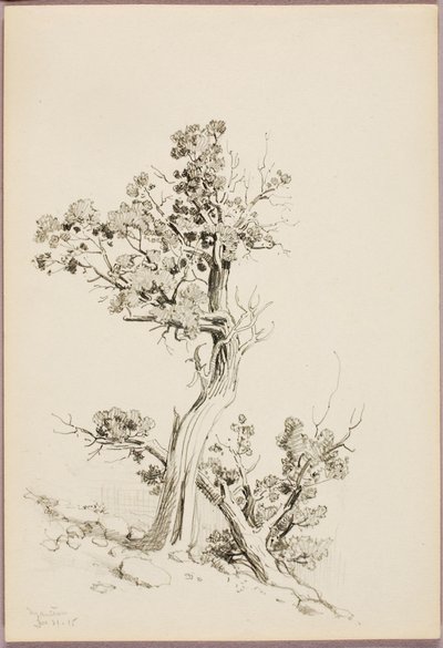 Manitou - George Elbert Burr
