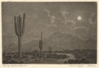 Clair de lune-Phoenix - George Elbert Burr