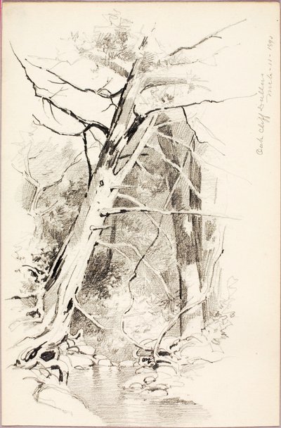Oak Cliff, Dallas - George Elbert Burr