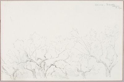 Olives--Fiesole - George Elbert Burr