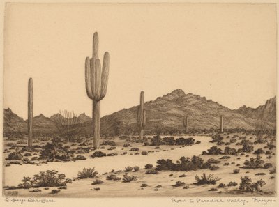 Route vers Paradise Valley, Arizona - George Elbert Burr