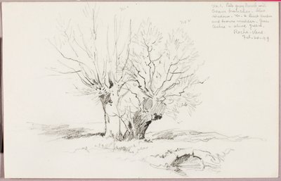 Roche Vaud - George Elbert Burr