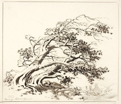 Esquisse pour les pins dans le vent, Estes Park - George Elbert Burr