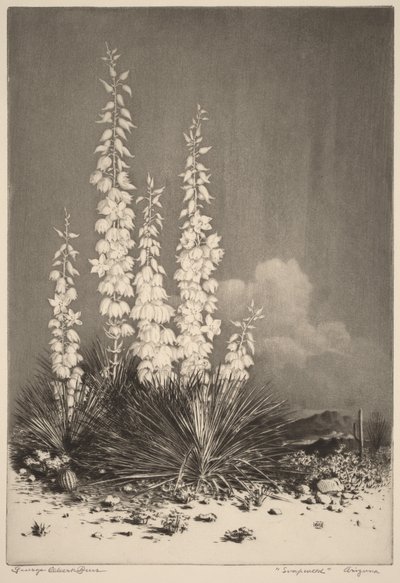  - George Elbert Burr