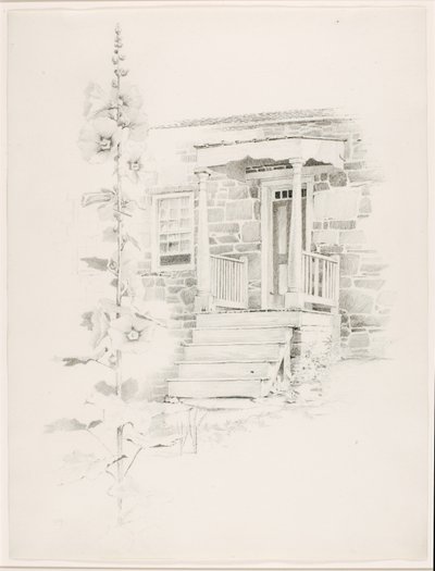 Sans titre (rose trémière) - George Elbert Burr