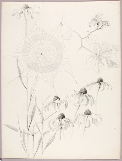Sans titre (toile d