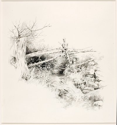 Sans titre (Woodland Stream) - George Elbert Burr