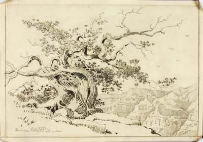Sans titre (dessin de report pour Soir, Apache Trail, Arizona) - George Elbert Burr