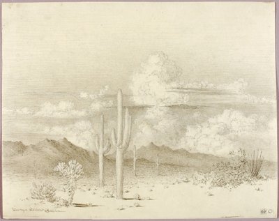 Sans titre (dessin de transfert pour Soir, Paradise Valley, Arizona) - George Elbert Burr