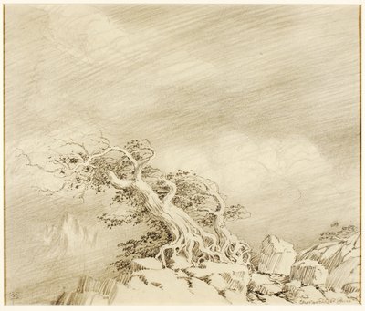 Sans titre (dessin de transfert pour Storm near Timberline) - George Elbert Burr