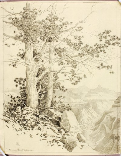 Sans titre (dessin de report pour impression) - George Elbert Burr