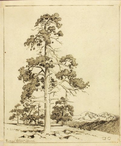 Sans titre (dessin de report pour impression) - George Elbert Burr