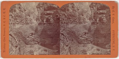Paysage de Watkins Glen, Gorge en spirale - George F. Gates