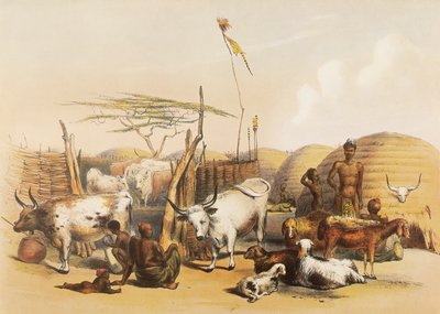Un kraal zoulou sur la rivière Umgaki au Natal - George French Angas