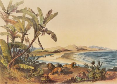 Un voyage à l