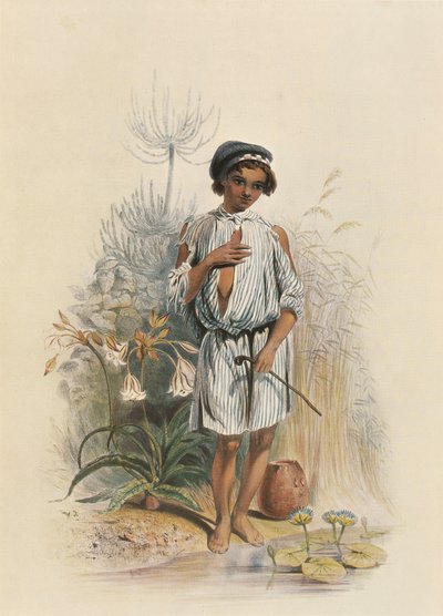 Charley, un garçon métis au Natal - George French Angas