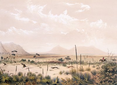 Chasse au kangourou - George French Angas