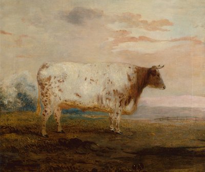 Juno, une vache à cornes courtes rouge dans un paysage étendu - George Garrard
