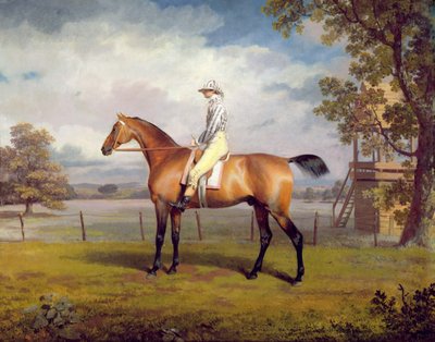 Le déguisement du duc de Hamilton avec jockey - George Garrard