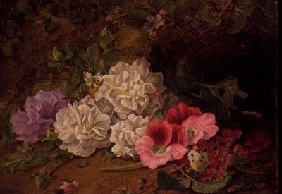 AB/52 Nature morte avec papillons - George Goodman