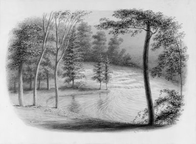 Un ruisseau de l
