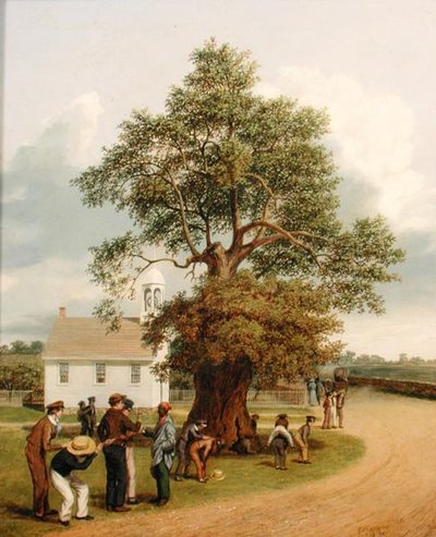 Le Chêne de l