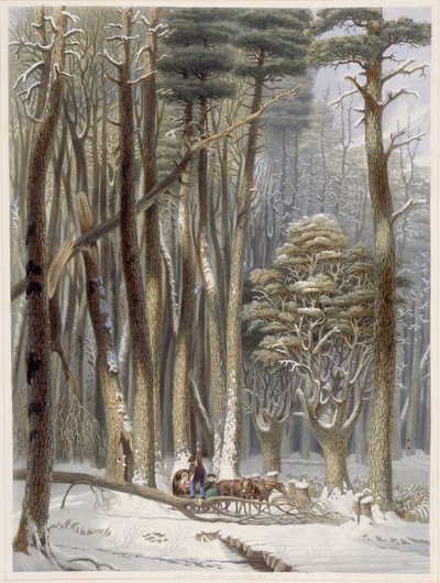 Hiver, Voyageurs entravés dans une forêt de pins, de Scènes de la forêt primitive d