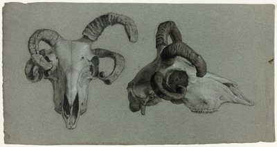 Crânes de béliers - George Hayter