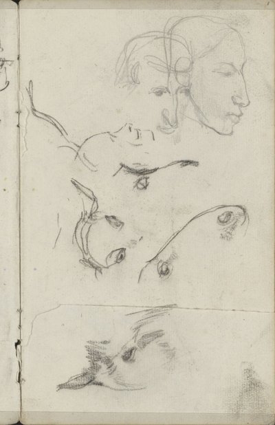 Têtes de chevaux et d