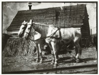 Chevaux sur la route de Cruquius - George Hendrik Breitner