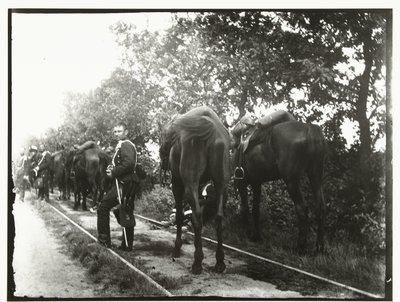 Cavalerie au repos le long d