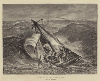 Une tempête en mer du Nord - George Henry Andrews