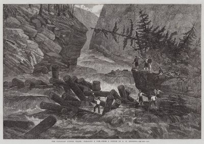 Le commerce du bois canadien, dégagement d