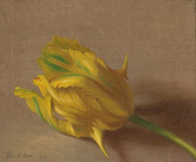  - George Henry Hall